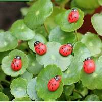 GisP-10pcs Mini Ladybug Beatles Garden Ornaments Scenery Craft For Plant Pot Decor High Life