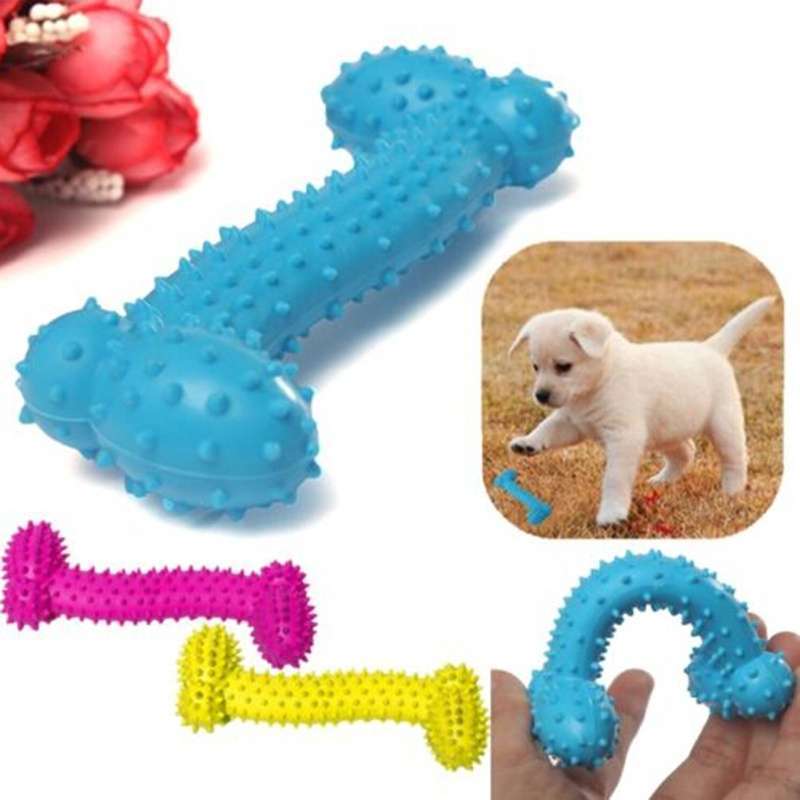 Pet Toys Resistant To Bite Bone Dog Puppy Molars Rubber Ball Play For Teeth CE