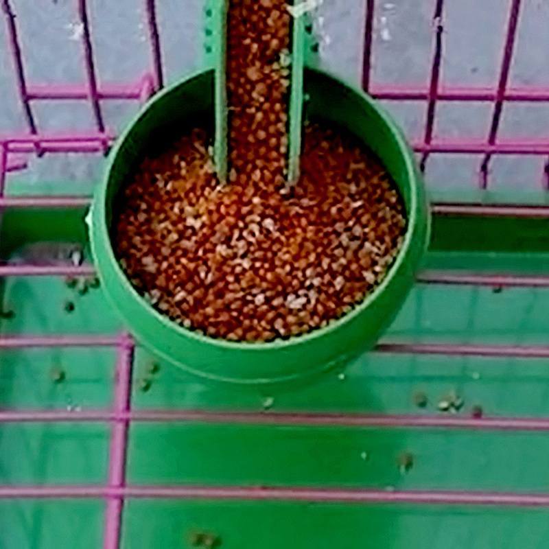 4CM Plastic Round Bird Parrot Aviary Pet Cage Water Food Feeder Feeding Bowl-1