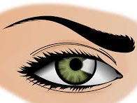 shadow palette makeup eyeliner eye