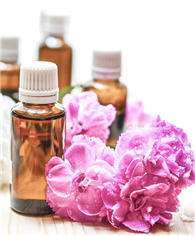 seeds skin kiwi cosmetics oil essential