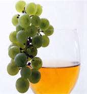 skin essential grape cosmetics seed oil