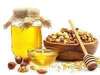 Cosmetics Hazelnut essential oil Skin