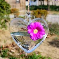 Hq63-Heart Hanging Glass Vase Plant Container